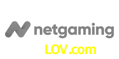 NetGaming